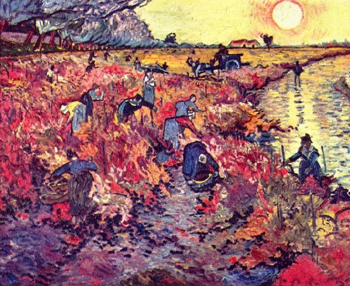 Vincent Van Gogh Die roten Weingarten France oil painting art